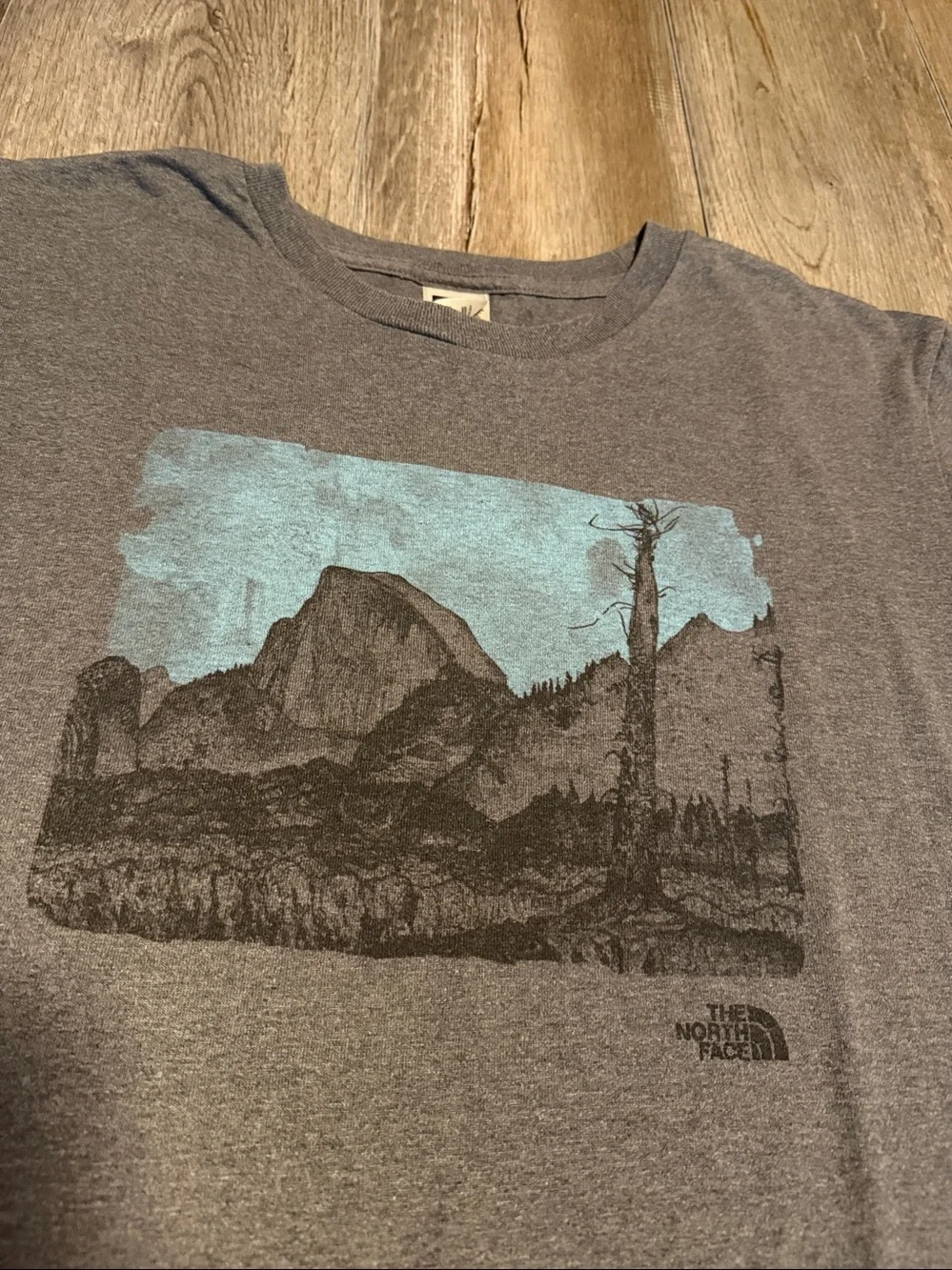 The North Face Men's Heather Gray Scenic Graphic Short-Sleeve Tee